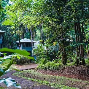 Ferntree Rainforest Lodge Cape Tribulation