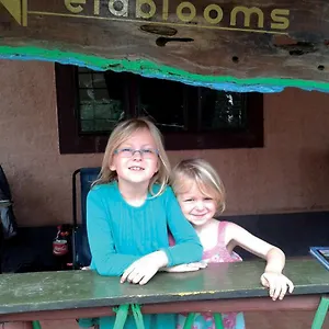Ela Blooms Farm stay Vythiri